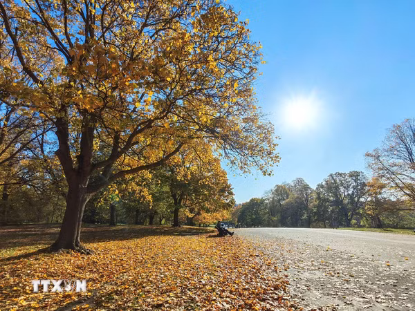Công viên Kensington Gardens 'khoác áo Thu' rực rỡ giữa lòng London