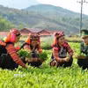 Cán bộ Đồn Biên phòng A Pa Chải (Điện Biên) giúp đỡ người dân phát triển kinh tế, xóa đói, giảm nghèo, góp phần xây dựng nông thôn mới, củng cố mối quan hệ đoàn kết, gắn bó quân dân. (Ảnh: Minh Đức/TTXVN)