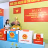 Hòa thượng Thích Thiện Nhơn, Chủ tịch Hội đồng Trị sự Giáo hội Phật giáo Việt Nam tham gia bỏ phiếu tại khu vực bỏ phiếu số 1, phường Nhiêu Lộc, TP Hồ Chí Minh. (Ảnh: Hồng Đạt/TTXVN)