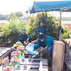 Các lực lượng chức năng tổ chức lấy mẫu ADN tại Nghĩa trang liệt sỹ Đăk Đoa, tỉnh Gia Lai. (Ảnh: Quang Thái/TTXVN)