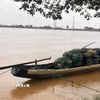 Người dân xã Triệu Bình, tỉnh Quảng Trị neo đậu ghe thuyền khi nước lũ trên sông Thạch Hãn dâng cao. (Ảnh: Tường Vi/TTXVN)