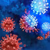 Virus SARS-CoV-2. (Ảnh: Getty Images)