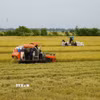 Nông dân tỉnh Đồng Tháp sử dụng cơ giới hóa trong thu hoạch lúa. (Ảnh: Nhựt An/TTXVN)