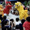 (Ảnh: Anh Dũng/TTVXN)
