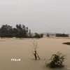 Nước lũ dâng cao làm vỡ đê bối sông Cầu tại tổ 33, phường Phan Đình Phùng, tỉnh Thái Nguyên. (Ảnh: Thảo Nguyên/TTXVN)