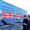 Công chức Hải quan kiểm hóa hàng nhập khẩu qua cửa khẩu quốc tế Thường Phước, xã Thường Phước, tỉnh Đồng Tháp. (Ảnh: Phạm Hậu/TTXVN)