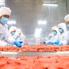 Thịt bò của Công ty Trách nhiệm hữu hạn Pacow International được đánh giá cao tại thị trường Halal nhờ đáp ứng nghiêm ngặt tiêu chuẩn về vệ sinh, quy trình giết mổ và sự minh bạch trong chuỗi cung ứng. (Ảnh: Minh Phú/TTXVN)