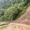 (Ảnh minh họa. Vũ Hoàng Giang/TTXVN)