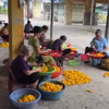 Giữ gìn và phát triển thương hiệu làng nghề ươm tơ Cổ Chất