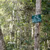 Rừng phòng hộ Nam Cát Tiên có vai trò quan trọng trong gìn giữ, bảo vệ nguồn nước, hạn chế thiên tai, sạt lở đất. (Ảnh tư liệu: Hưng Thịnh/TTXVN)