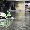Mưa lớn gây ngập cục bộ đường An Dương Vương, phường An Cựu, thành phố Huế. (Ảnh: Nguyên Lý /TTXVN)