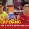"Giật mình" lý do Bích Tuyền bị hàng loạt đội bóng chuyền nữ Hàn Quốc từ chối