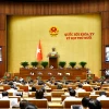 Quốc hội làm việc tại nghị trường. (Ảnh: Doãn Tấn/TTXVN)c