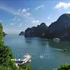 Di sản thiên nhiên thế giới Vịnh Hạ Long mang những giá trị đặc biệt, thắng cảnh thiên nhiên có một không hai trên thế giới. (Ảnh: Minh Đức/TTXVN)