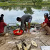 Người dân vớt cá lồng bị chết. (Ảnh: TTXVN phát)