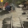 Đoạn đường sắt bị nước ngập, đất đá tràn vào đường ray, gây mất an toàn ở địa phận đường sắt chạy ngang xã Nam Cam Ranh, Khánh Hòa. (Ảnh: TTXVN phát)