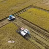 Nông dân tỉnh Đồng Tháp thu hoạch rộ lúa Đông Xuân. (Ảnh: Công Trí/TTXVN)