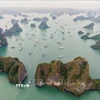Phong cảnh tuyệt đẹp của Vịnh Hạ Long thu hút sự quan tâm của nhiều du khách. (Ảnh: Hoàng Hiếu/ TTXVN)