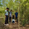 Cá thể Tê tê Java sau khi bảo đảm đủ điều kiện sức khỏe được lực lượng chức năng tái thả về môi trường tự nhiên tại khoảnh 1, tiểu khu 17, Vườn quốc gia Lò Gò-Xa Mát. (Ảnh: TTXVN phát)
