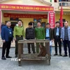 Cá thể Khỉ mặt đỏ quý, hiếm nặng 6kg được người dân giao nộp cho lực lượng chức năng trong sáng ngày 25/11/2025. (Ảnh: TTXVN phát)