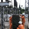Nhân viên điện lực kiểm tra, gia cố hệ thống điện bảo đảm các biện pháp phòng chống bão cho hệ thống điện. (Ảnh: TTXVN phát)