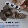 Các nhà nghiên cứu Trung Quốc vừa phát hiện hóa thạch trứng khủng long siêu nhỏ ở tỉnh miền Đông Giang Tây. (Ảnh: THX/TTXVN)