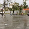 Một góc ở nội ô tỉnh Cà Mau ngập sâu trong nước. (Ảnh: Tuấn Phi/TTXVN)