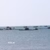 Nghề nuôi biển đang được đầu tư phát triển tại vùng biển xã Vĩnh Hải, tỉnh Khánh Hòa. (Ảnh: Công Thử/TTXVN)