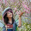 Du khách lưu lại khoảnh khắc cùng hoa đào tại bản Sin Suối Hồ, Lai Châu. (Ảnh: Nguyễn Oanh/TTXVN)