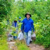 Các tình nguyện viên tham gia trồng rừng tại vùng đệm Vườn Quốc gia Tà Đùng. (Ảnh: Hưng Thịnh/Vietnam+)