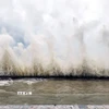 Triều cường dâng cao, sóng biển đánh mạnh dữ dội ở vùng biển Cô Tô. (Ảnh: TTXVN phát) 