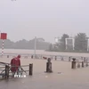 Lũ lên trên báo động 2 gây ngập ven bờ Nam sông Hương, thành phố Huế. (Ảnh: Nguyên Lý/TTXVN)