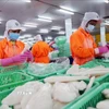 Chế biến thủy sản xuất khẩu. (Ảnh: Danh Lam/TTXVN)