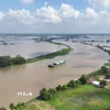 Nước sông Vàm Cỏ Đông (đoạn chảy qua địa phận xã Thạnh Đức, tỉnh Tây Ninh) dâng cao, gây ngập nhiều diện tích đất nông nghiệp của người dân. (Ảnh: Thanh Tân/TTXVN)