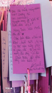 Ước nguyện của các thi sinh treo ở khu Thái học tại Văn Miếu-Quốc Tử Giám với hy vọng đạt được điểm cao. (Ảnh: Thành Phương/TTXVN)
