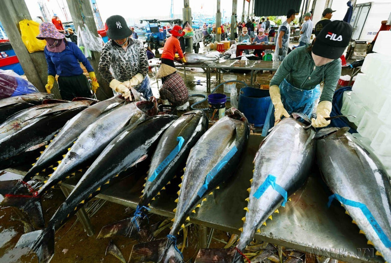 vna-potal-nearly-40-years-of-renewal-vietnam-development-region-7821907.jpg