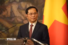 Phó Thủ tướng Bùi Thanh Sơn. (Ảnh: Quang Vinh/TTXVN)