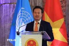 Đại sứ Mai Phan Dũng. (Ảnh: Anh Hiển/TTXVN)