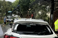 Lực lượng chức năng tỉnh Lào Cai khắc phục hậu quả do ảnh hưởng của bão số 10. (Ảnh: TTXVN phát)