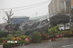 Cảnh tàn phá do bão số 10 năm 2025 tại phường Vinh Phú, Nghệ An. (Ảnh: Văn Tý/TTXVN)