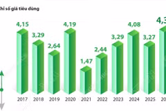 CPI bình quân 6 tháng năm 2026 tăng 4,38%