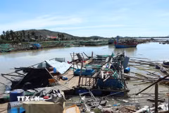 Một bè nuôi trồng thủy sản ở tỉnh Đắk Lắk bị thiệt hại nặng nề. (Ảnh: Tuấn Anh/TTXVN)