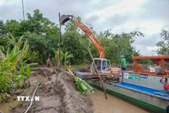 Lực lượng chức năng huy động phương tiện khắc phục đoạn đê bị vỡ trên cồn Sơn, khu vực 17, phường Bình Thủy, thành phố Cần Thơ. (Ảnh: Thanh Liêm/TTXVN)