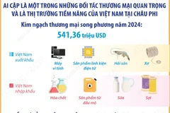 Quan hệ hữu nghị truyền thống Việt Nam-Ai Cập