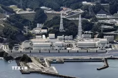 Nhà máy điện hạt nhân Onagawa ở tỉnh Miyagi, Nhật Bản. (Ảnh: Kyodo/TTXVN)