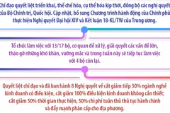 Chính phủ chỉ đạo và hoàn thành nhiều việc quan trọng trong thời gian rất ngắn