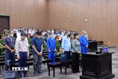 Các bị cáo tại phiên tòa xét xử. (Ảnh: Phạm Kiên/TTXVN)