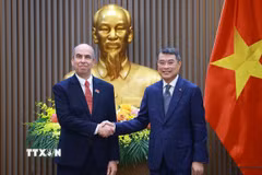 Thủ tướng Lê Minh Hưng tiếp Đại sứ Cuba Rogelio Polanco Fuentes. (Ảnh: Dương Giang/TTXVN)
