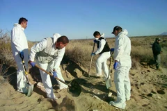 Lực lượng chức năng khai quật một nghĩa trang ở Mexico. (Nguồn: The New Yorker)