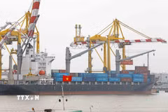 Tuổi trung bình của đội tàu biển tại Việt Nam đang cao hơn so với toàn cầu. (Ảnh: Trần Việt/TTXVN)